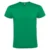 Verde Kelly